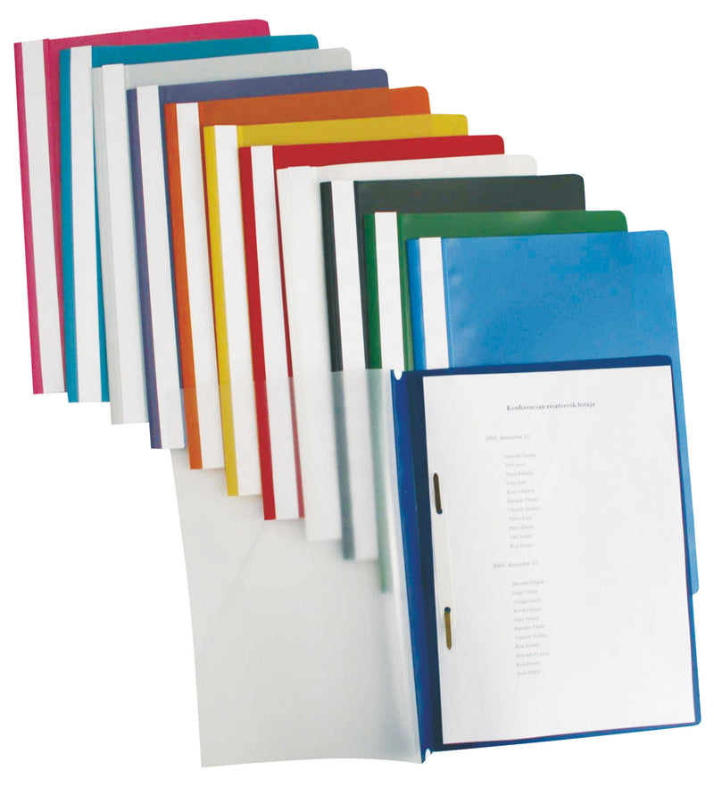 Dosar Plastic cu Șină Gri Esselte