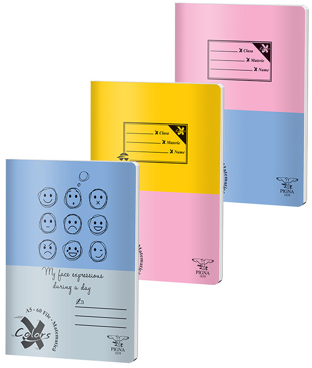 Caiet Basic A5 Aritmetică 60 File Pigna