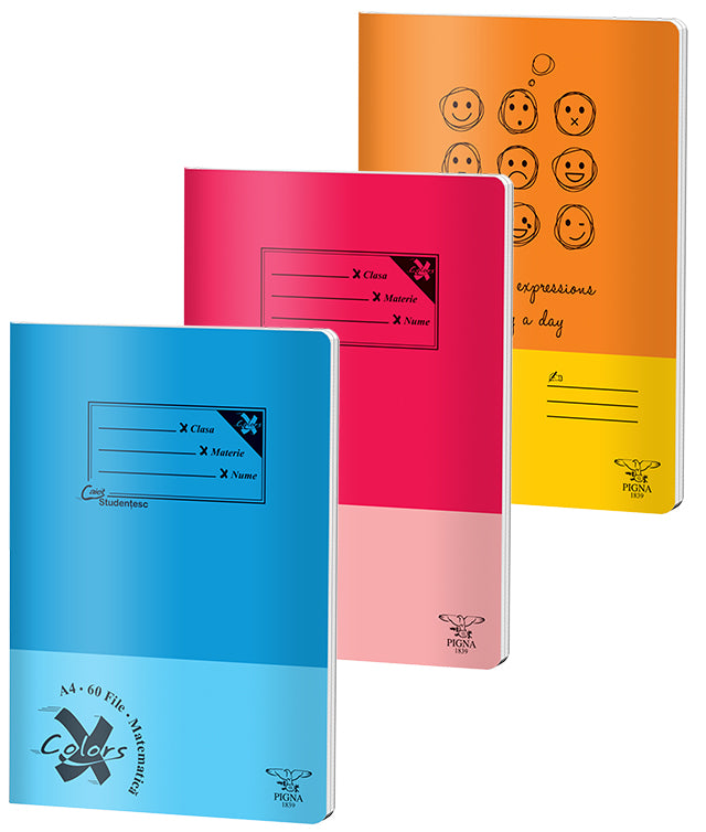 Caiet Basic A4 Aritmetică 60 File Pigna
