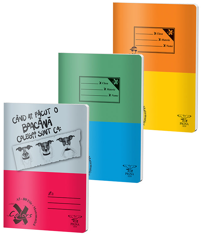 Caiet Basic A5 Aritmetică 80 File Pigna
