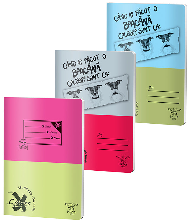 Caiet Basic A5 Dictando 80 File Pigna