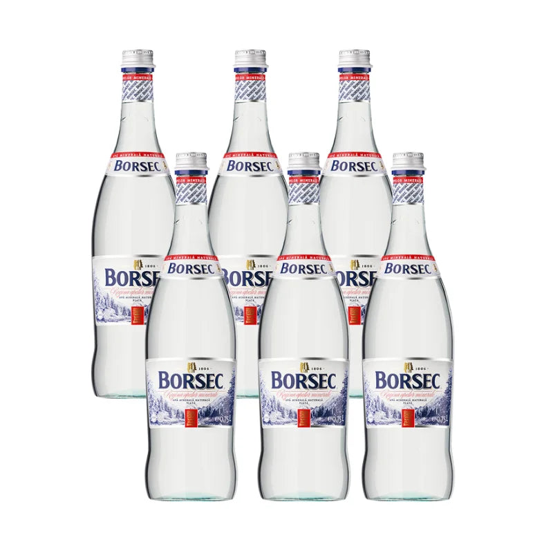 Sticle apă minerală carbogazoasă Borsec 6 x 0,75 L