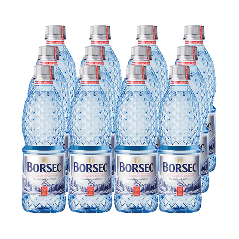 Bax apă minerală necarbogazoasă Borsec 12 x 0,50 L