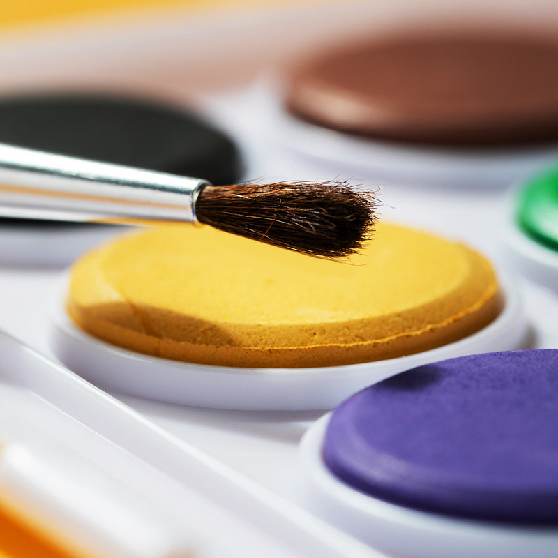 Acuarele 8 Culori 28 mm Economy Deli