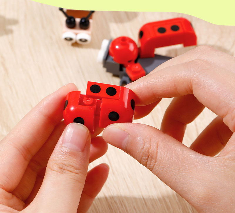 Blocuri de Construcție Model Insecte Asortate Deli