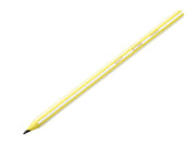 Creion Grafit HB fără Gumă Evolution Stripes 646 12 Buc BIC