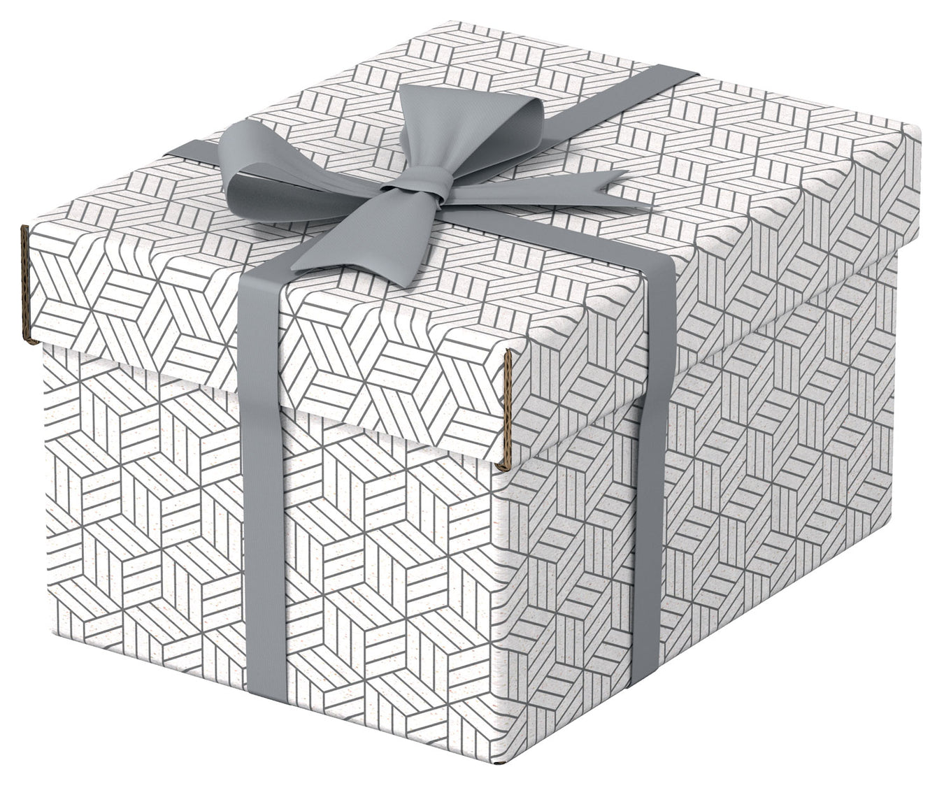 Cutie Depozitare cu Capac 25x20x15 cm Albă Recycled Esselte