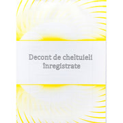 Decont de Cheltuieli Înregistrate A5 100 file Nebo