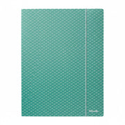 Mapă carton Esselte Colour'Breeze reciclabilă cu elastic, A4, culoare verde