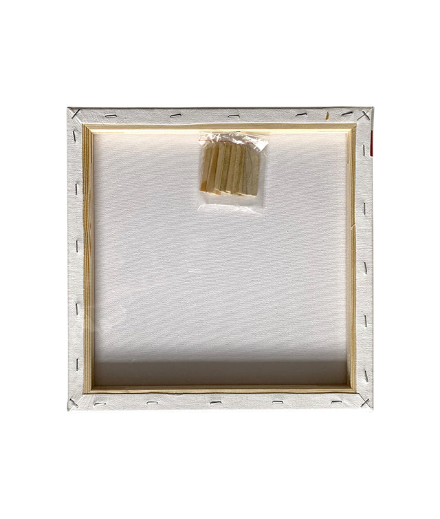 Pânză pentru Pictură pe Șasiu 30 x 30 cm Pigna