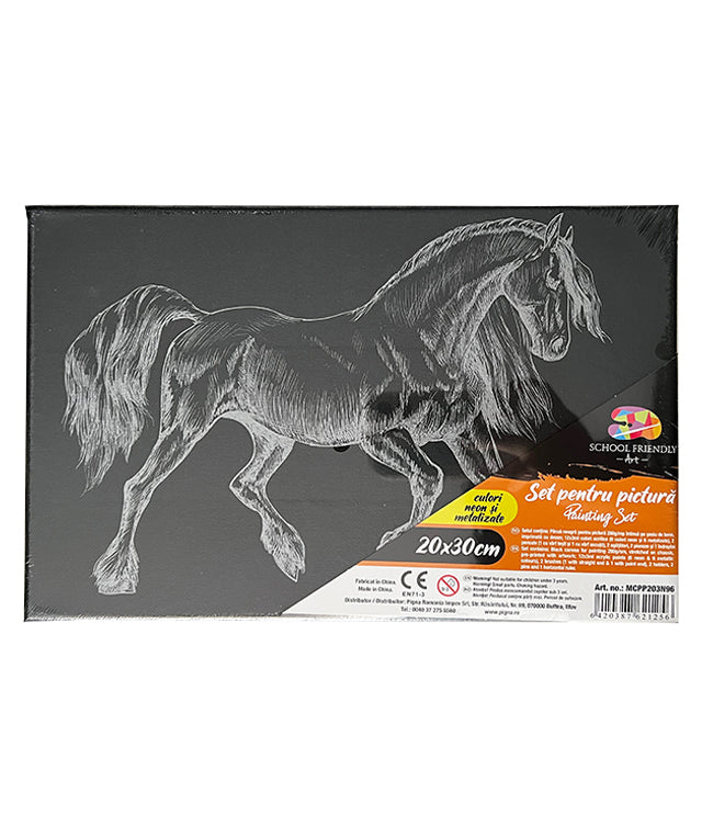 Set Pânză Neagră Predesenată pe Șasiu 20 x 30 cm Cal Metalizat și Neon Pigna