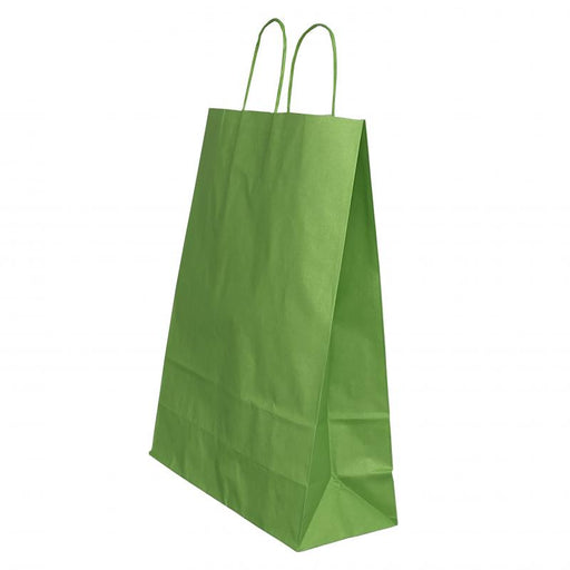 Pungă Cadou din Hârtie cu Mâner Răsucit 18 x 8 x 22 cm Verde/Alb Papiroti