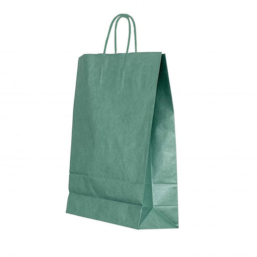 Pungă Cadou din Hârtie cu Mâner Răsucit 22 x 10 x 31 cm Verde Lucioasă cu Interior Alb Papiroti