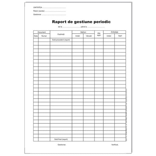 Raport de Gestiune Periodic Autocopiativ A4 2 Exemplare 100 file Calitate verificată