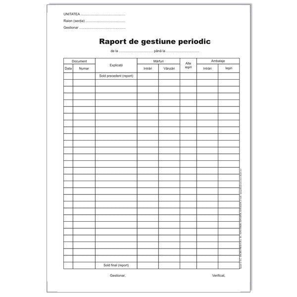 Raport de Gestiune Periodic A4 100 file Calitate verificată