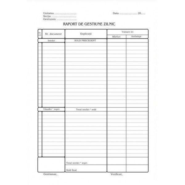 Raport de Gestiune Zilnic A4 100 file Nebo