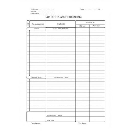Raport de Gestiune Zilnic A4 100 file Nebo