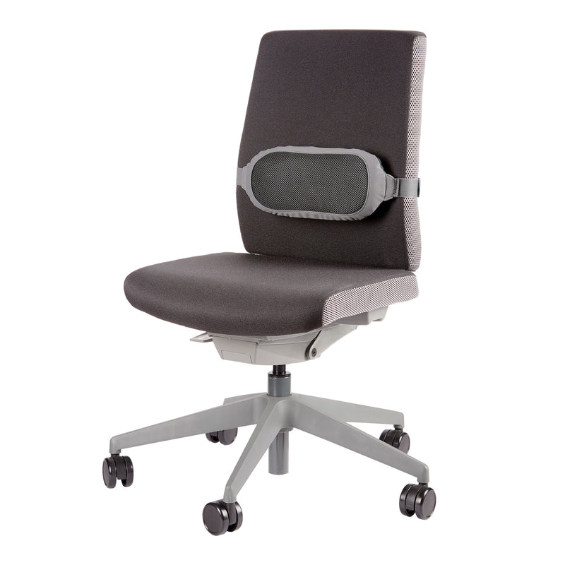 Suport Ergonomic pentru Spate I-Spire Fellowes
