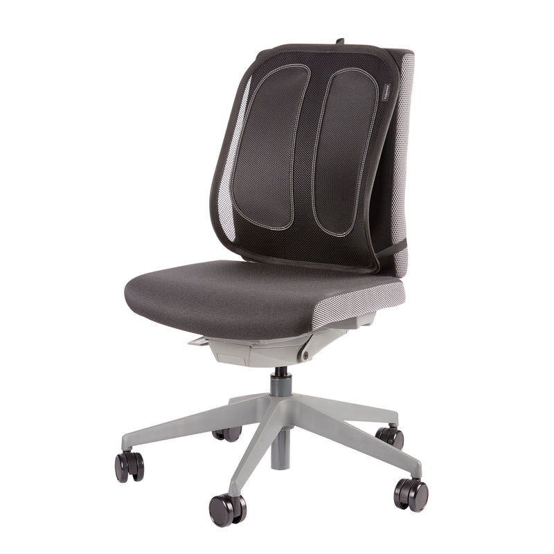 Suport Ergonomic pentru Spate Mesh Fellowes