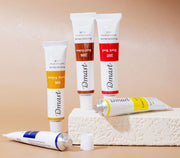 Tempera Acuarelă 24 Culori 12 ml DMast