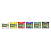 Tempera Lavabilă 6 Culori x 16 ml cu Pensulă Alpino
