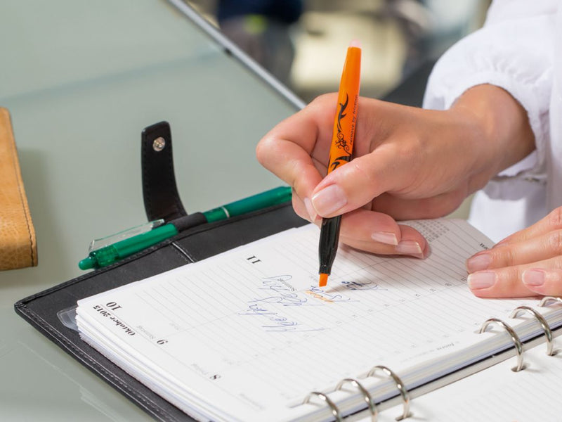 Textmarker FriXion Light Roz Pilot